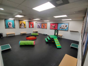 Indoor area of The Pup Camp dog daycare